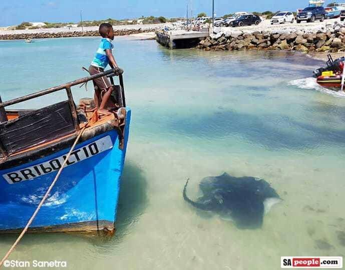 25 The Tides Apartment Struisbaai Bagian luar foto