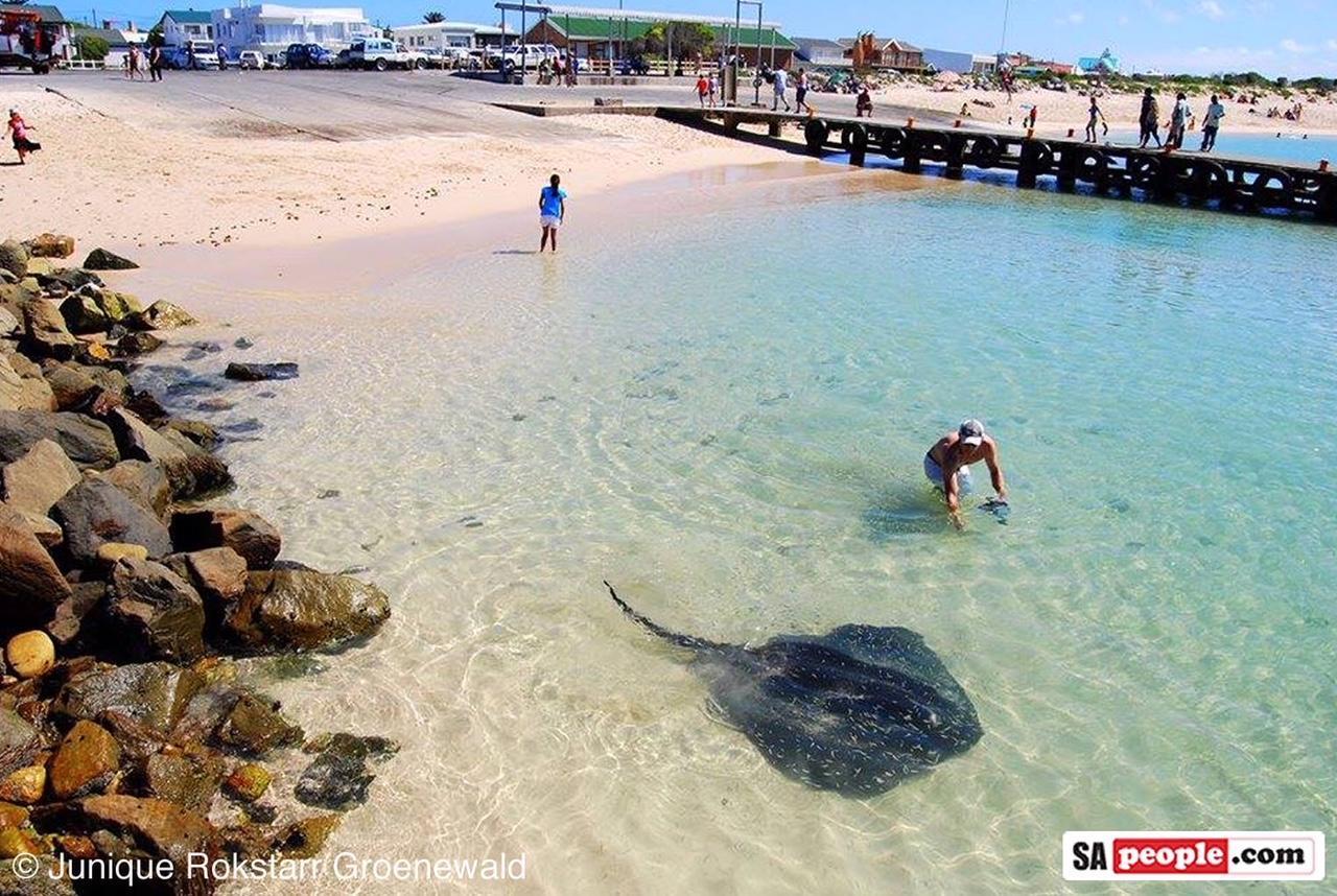 25 The Tides Apartment Struisbaai Bagian luar foto